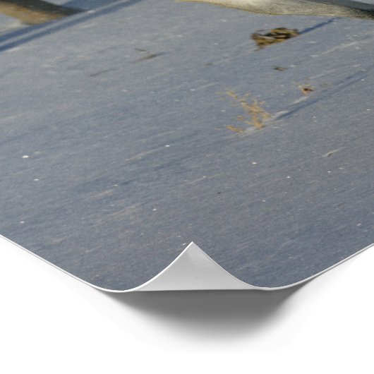 Dapple Grey Trakehner die in de sneeuw loopt Poster (Hoek)