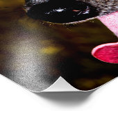 Dapple/Piebald Dachshund Foto Afdruk (Hoek)