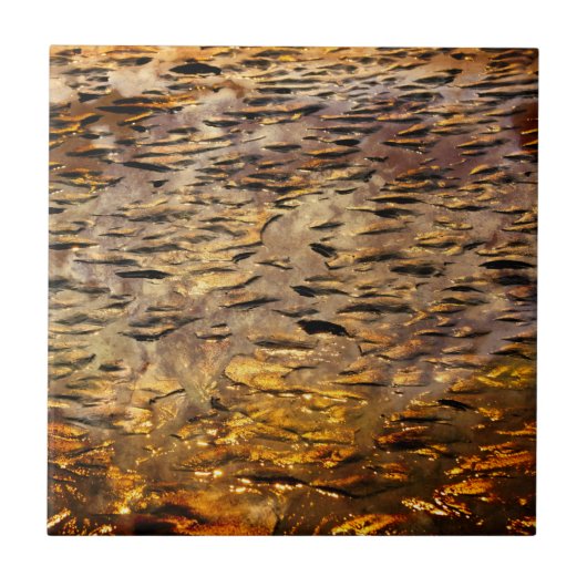 Dappled Gold Tegeltje (Voorkant)