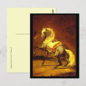 DAPPLED GRAY HORSE BRIEFKAART (Voorkant / Achterkant)
