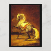 DAPPLED GRAY HORSE BRIEFKAART (Voorkant)