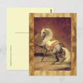 DAPPLED GRAY HORSE BRIEFKAART (Voorkant / Achterkant)
