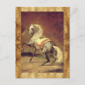 DAPPLED GRAY HORSE BRIEFKAART (Voorkant)