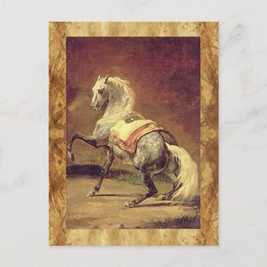 DAPPLED GRAY HORSE BRIEFKAART (Voorkant)