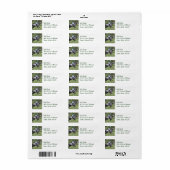 Dappled Grijs Race Paard Mailing Label (Full Sheet)