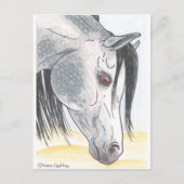 DappledAarabian Mare Briefkaart (Voorkant)