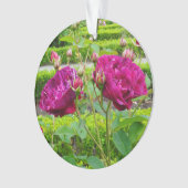 Darcey Bussell Roos #3 Ornament (voorkant)