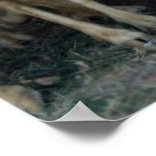 Dare om anders te zijn! Gezegde van schapen ... Poster (Hoek)