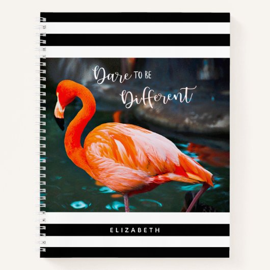 Dare to be Difference Flamingo Black White Stripes Notitieboek (Voorkant)