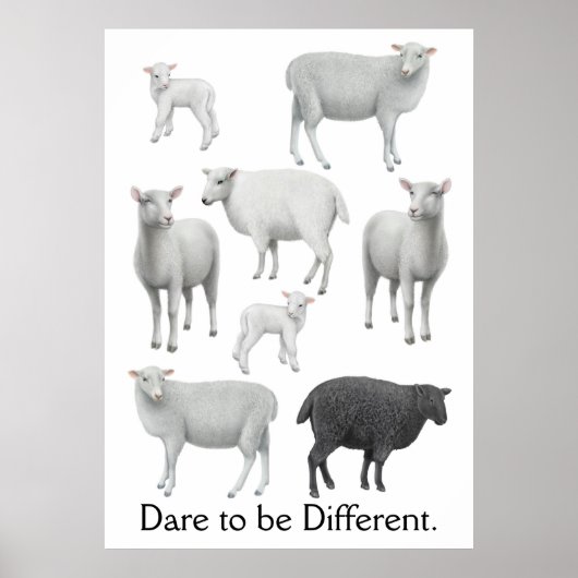 Dare to be Different Black Sheep Print (Voorkant)