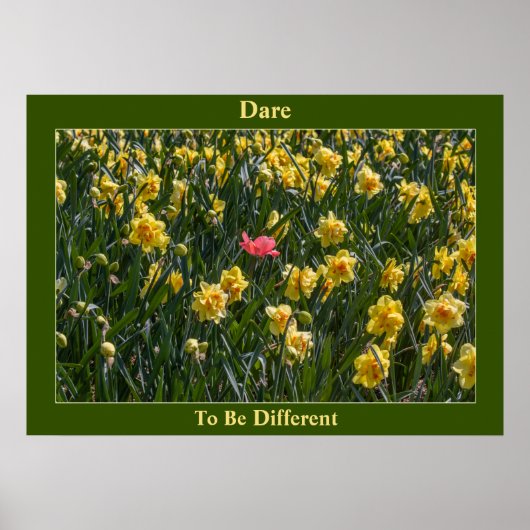 Dare to be different Daffodils Poster (Voorkant)