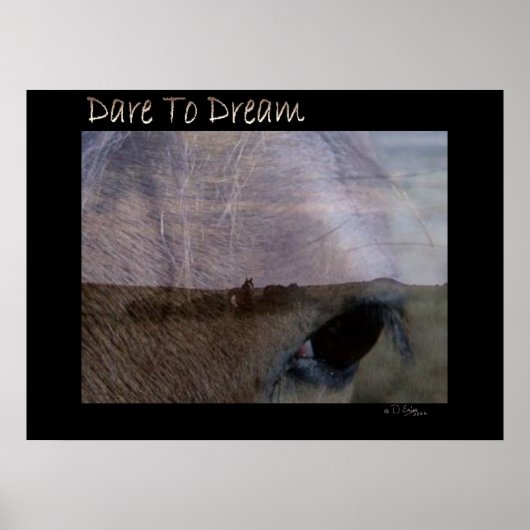Dare to Dream Poster (Voorkant)