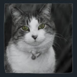 Dare to look in my Green Eyes Bandana<br><div class="desc">Baby, een vrouw Siamese kat wacht rustig op een traktatie. Op zoek naar meer prints of producten? Je kunt mijn winkel bezoeken: http://www.zazzle.com/timelessmomentsphtgy Deze foto is genomen door Jennifer White met Timeless Moments Photography. Alle afbeeldingen zijn auteursrechtelijk beschermd © Timeless Moments Photography/Jennifer White. Alle rechten voorbehouden. Het kopiëren en/of distribueren...</div>