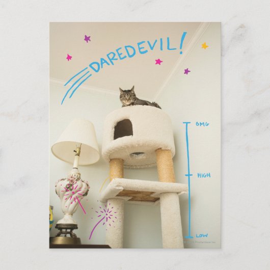 Daredevil Cat Briefkaart (Voorkant)