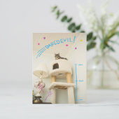 Daredevil Cat Briefkaart (Staand voorkant)