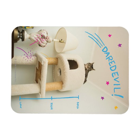 Daredevil Cat Magneet (Horizontaal)
