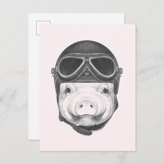 Dareduivel Pig Briefkaart (Voorkant / Achterkant)