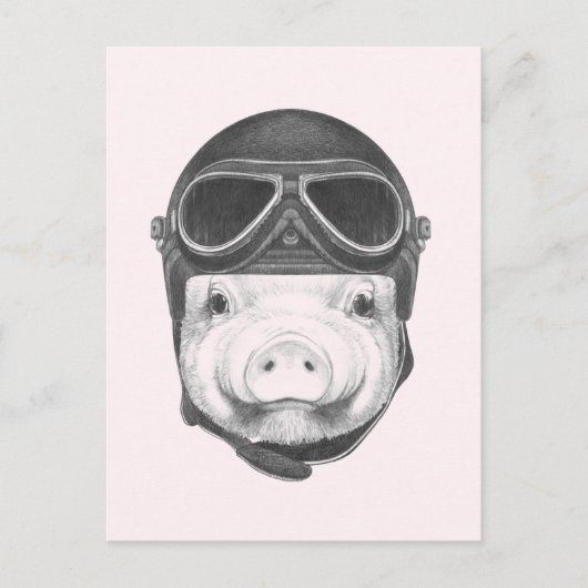 Dareduivel Pig Briefkaart (Voorkant)