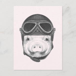 Dareduivel Pig Briefkaart