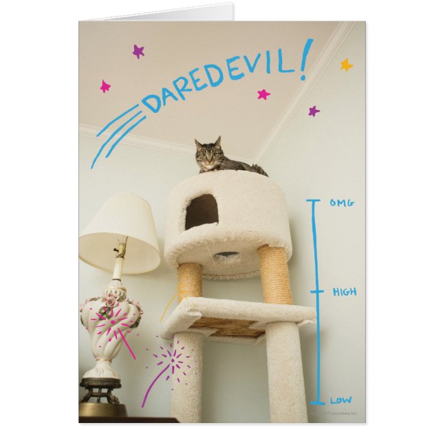 Dareduivelskat (Voorkant)