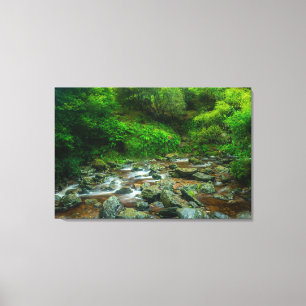 Dargle Rivier Canvas Wandkunst   Ierland Weelderig Afdruk