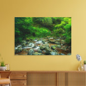 Dargle Rivier Canvas Wandkunst | Ierland Weelderig Afdruk (Insitu (Woonkamer))