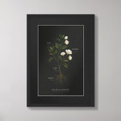 Dark Academia Botanical Anatomy Poster