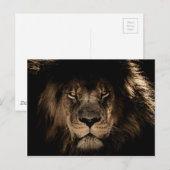 Dark African Lion Wildlife Wild Animal Briefkaart (Voorkant / Achterkant)