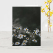 Dark and moody meadow, Sympathy Kaart (Gele Bloem)