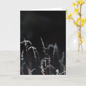 Dark and moody nature, Sympathy Kaart (Gele Bloem)