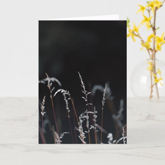 Dark and moody nature, Sympathy Kaart (Gele Bloem)