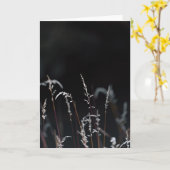 Dark and moody nature, Sympathy Kaart (Gele Bloem)