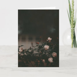 Dark and moody roses in garden Sympathy Kaart