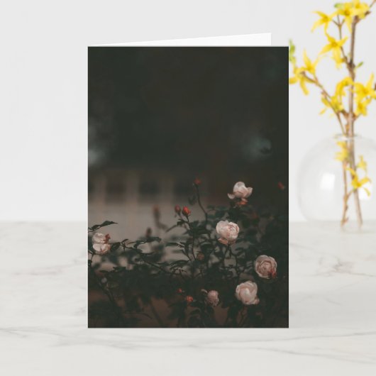 Dark and moody roses in garden Sympathy Kaart (Gele Bloem)