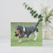 Dark Basset Hound Dog Briefkaart (Staand voorkant)