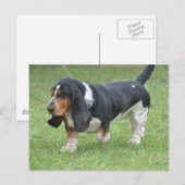 Dark Basset Hound Dog Briefkaart (Voorkant / Achterkant)