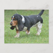 Dark Basset Hound Dog Briefkaart (Voorkant)