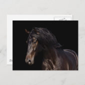 Dark Bay Briefkaart (Voorkant / Achterkant)