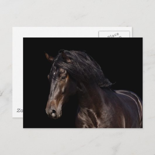 Dark Bay Briefkaart (Voorkant / Achterkant)