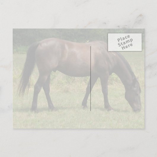 Dark Bay Horse grazen in grasveld Briefkaart (Achterkant)