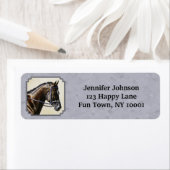 Dark Bay Sport Horse Grey Etiket (Insitu)