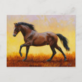 Dark Bay Stallion Horse Galloping Briefkaart (Voorkant)