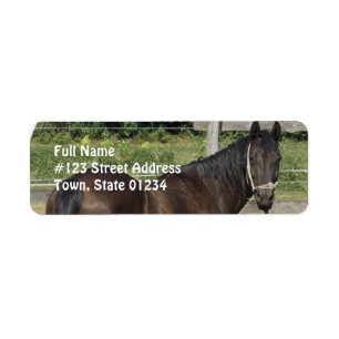 Dark Bay Thoroughbred-adres Etiket