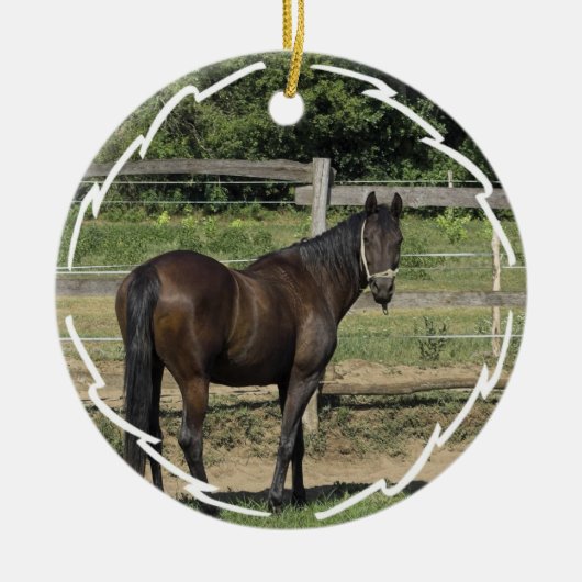 Dark Bay Thoroughbred Horse Ornament (Voorkant)
