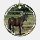 Dark Bay Thoroughbred Horse Ornament (Achterkant)
