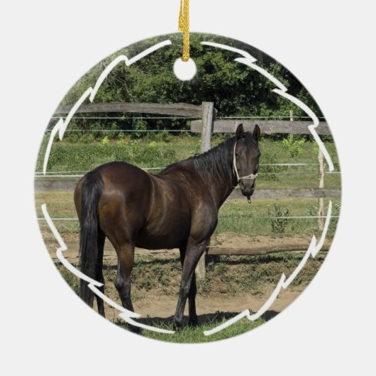 Dark Bay Thoroughbred Horse Ornament (Achterkant)