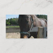 Dark Bay Thoroughbred Horse Visitekaartje (Achterkant)