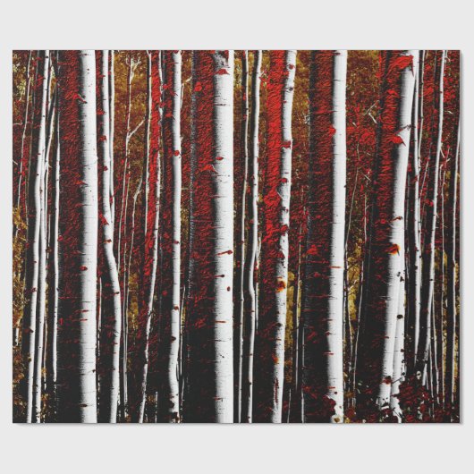 Dark Birch Forest Cadeaupapier (Vlak)