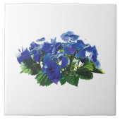 Dark Blue Hydrangea Lace Pet Tegeltje (Voorkant)