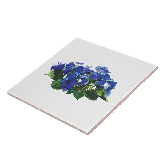 Dark Blue Hydrangea Lace Pet Tegeltje (Zijkant)